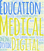 Bridging the Digital Divide: Challenges of Online Medical Education in Nigeria